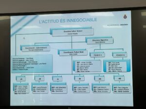 organigrama femenino