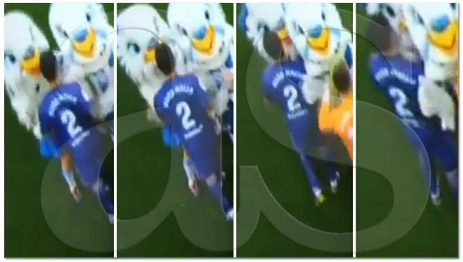 hugo mallo denuncia abuso sexual periquita mascota espanyol