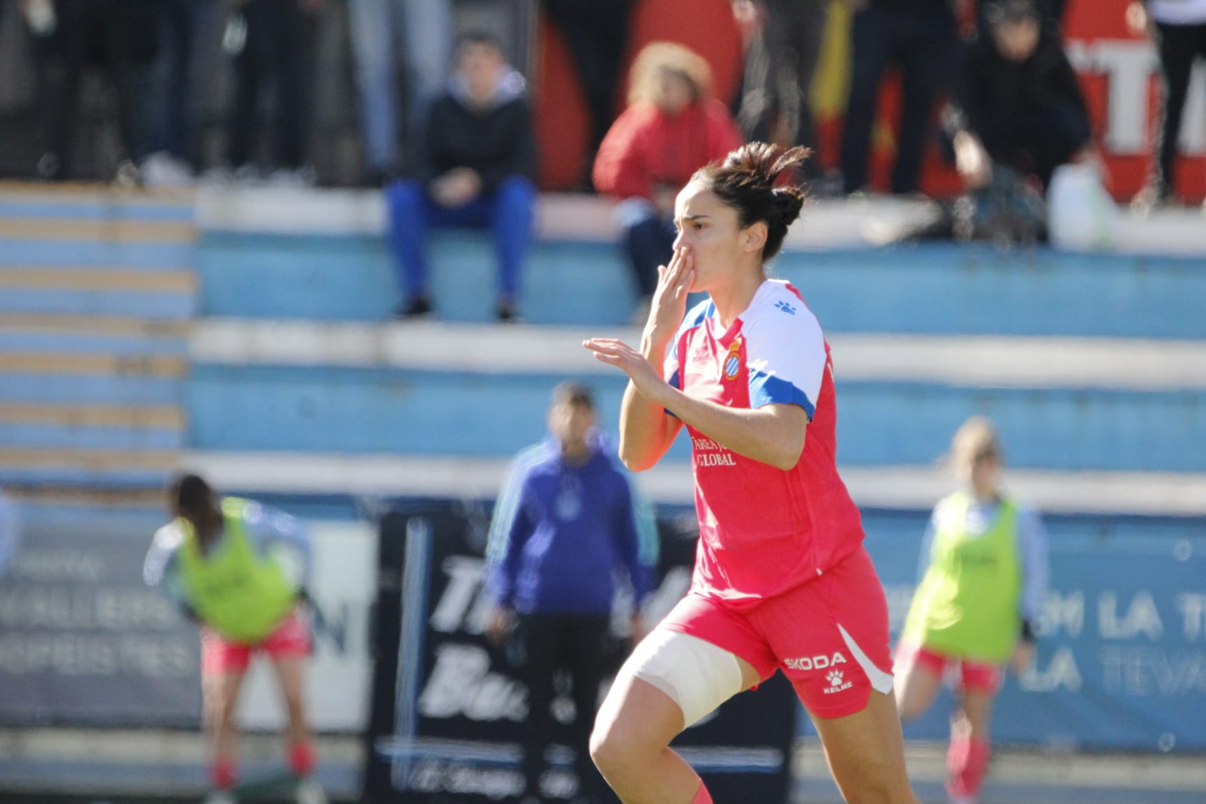 lice chamorro partido ce europa