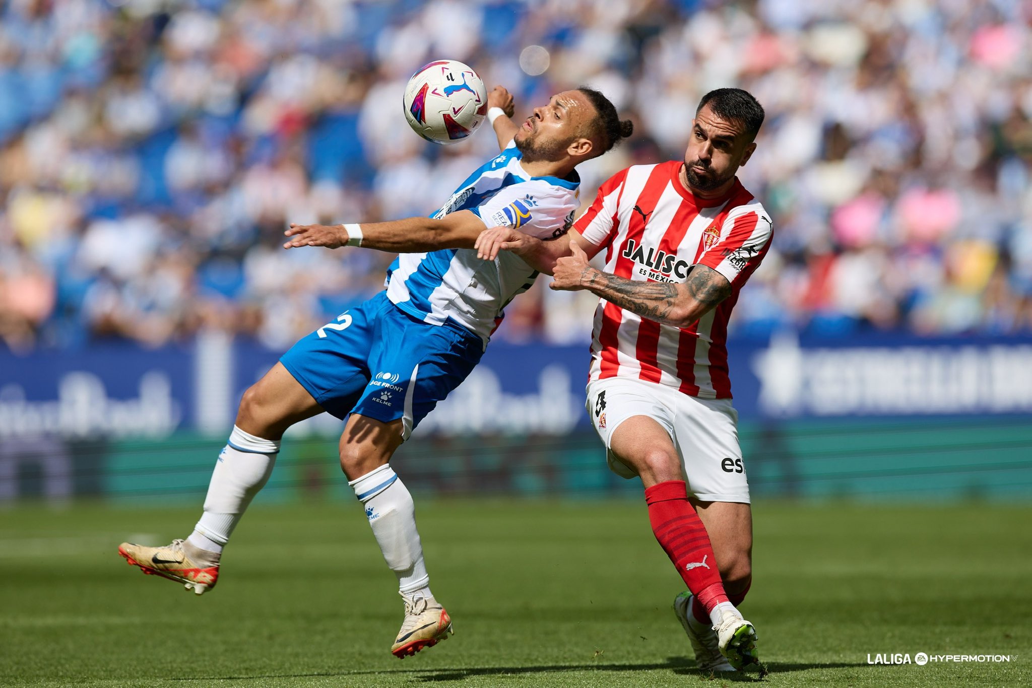 Víctor Campuzano: "Sería espectacular que Braithwaite comprara el Espanyol" 2 pablo insua martin braithwaite sporting espanyol
