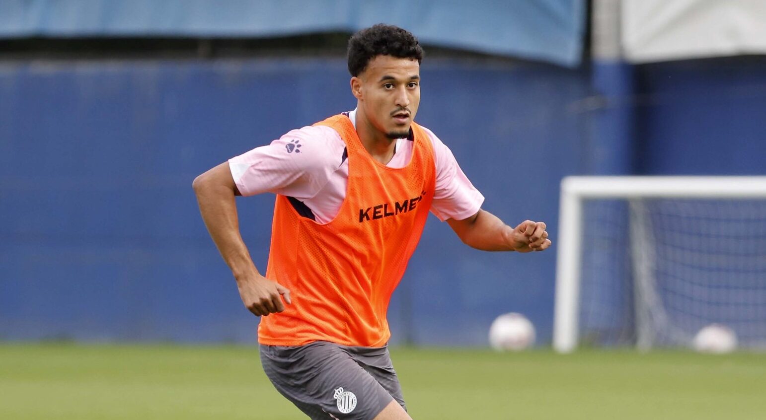 IMG 3510 e1728502048295