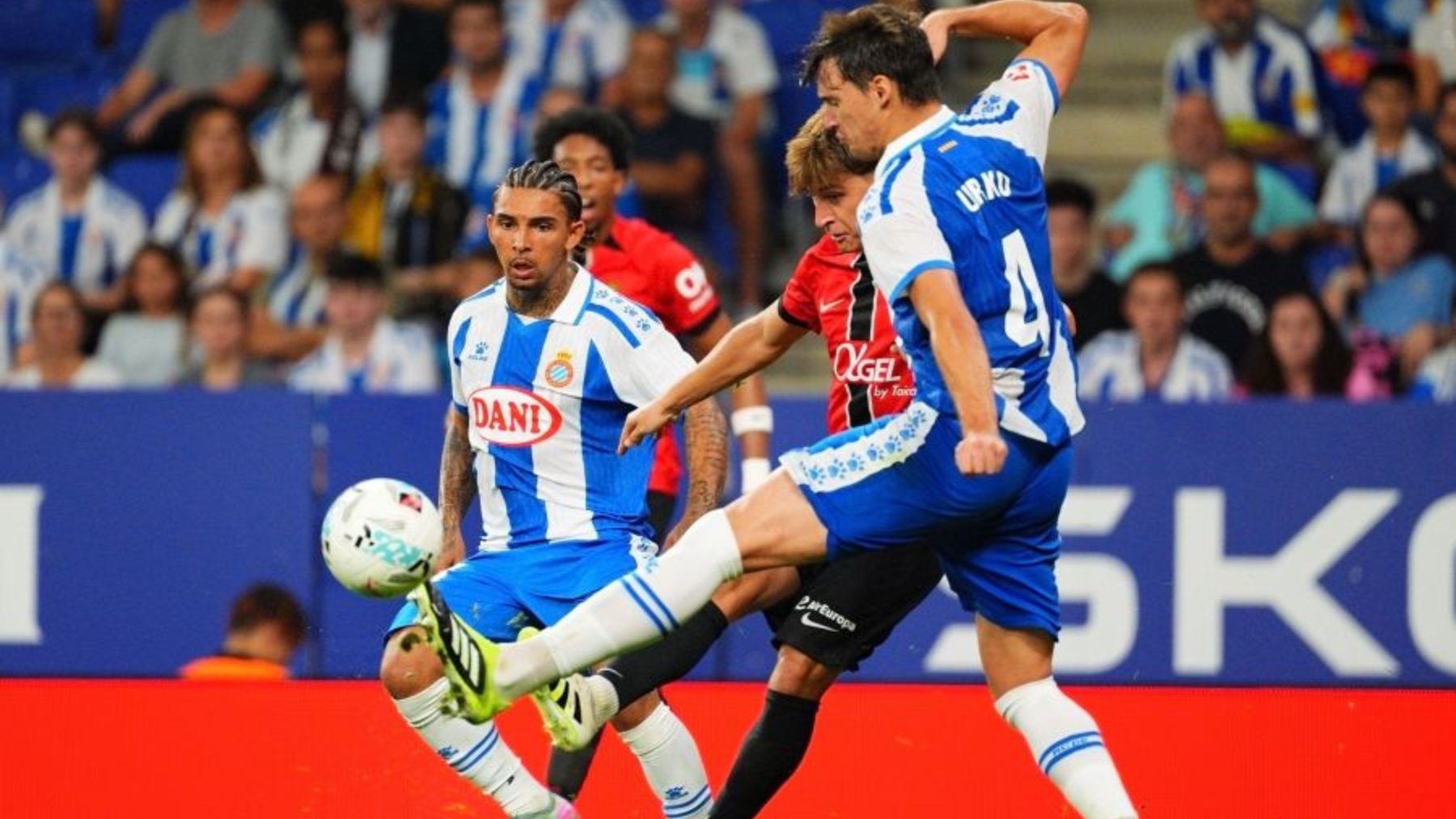 dolan espanyol mallorca
