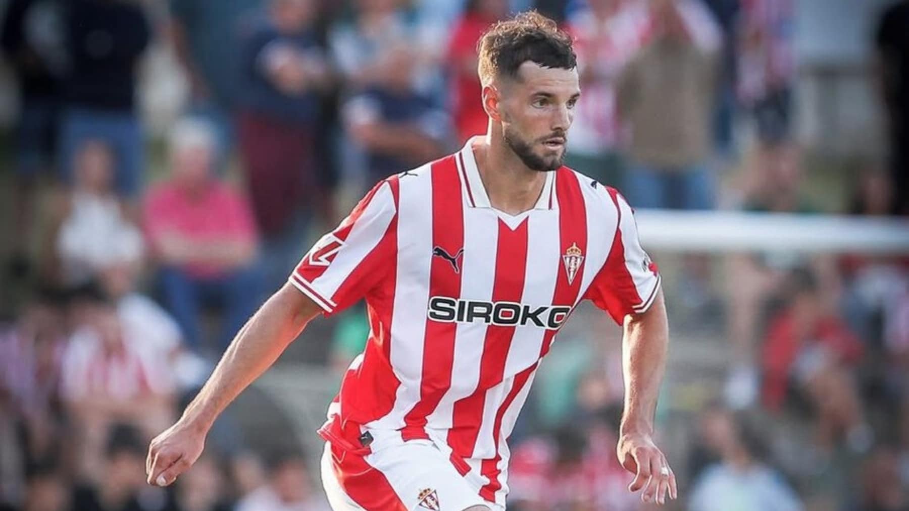 justin smith sporting