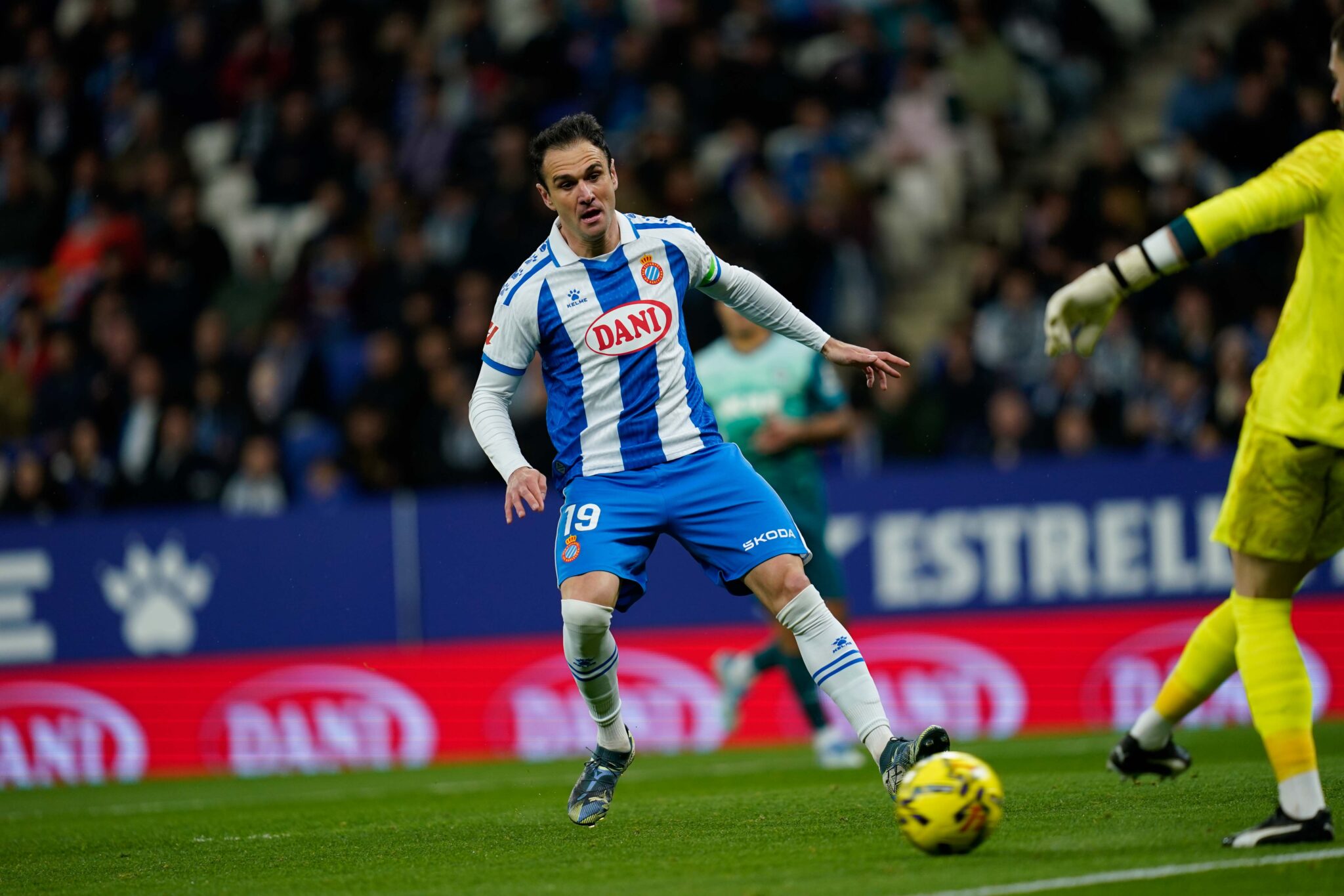 55068584082 5b6815926b o scaled