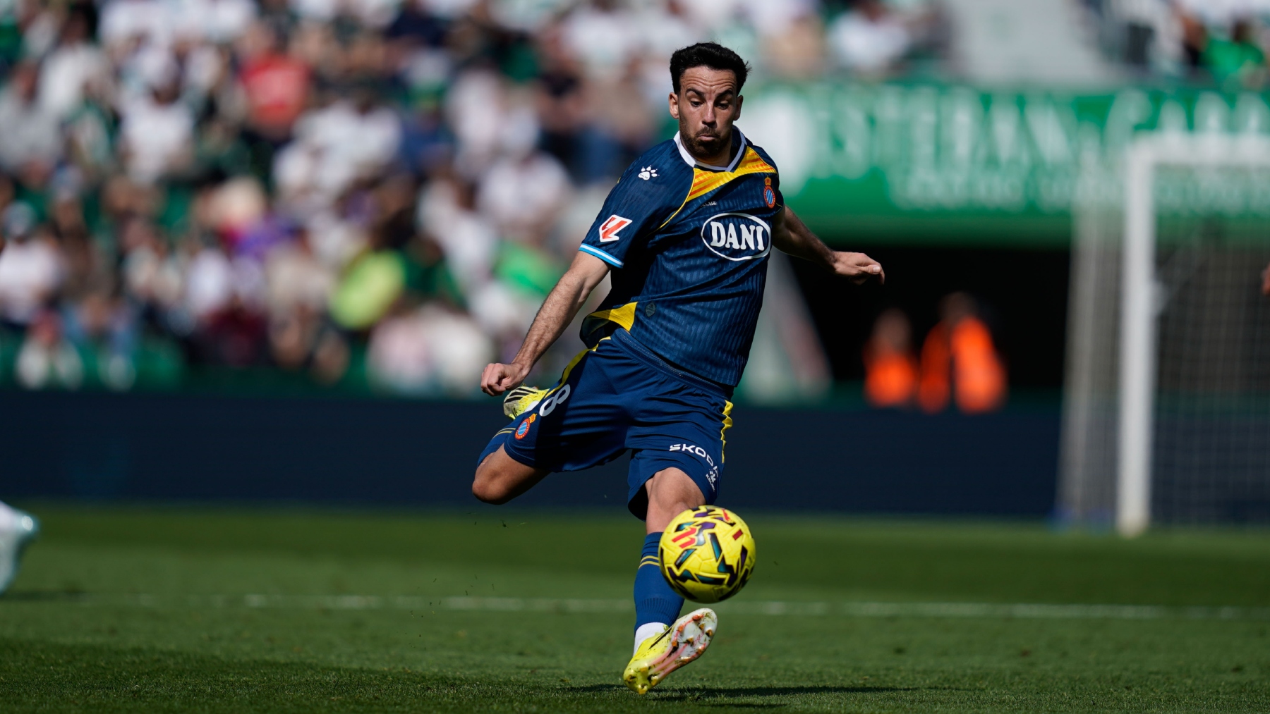 Golpe en la medular: el Espanyol pierde a Edu Expósito y Pickel ante el Oviedo 2 edu exposito elche espanyol 1 1