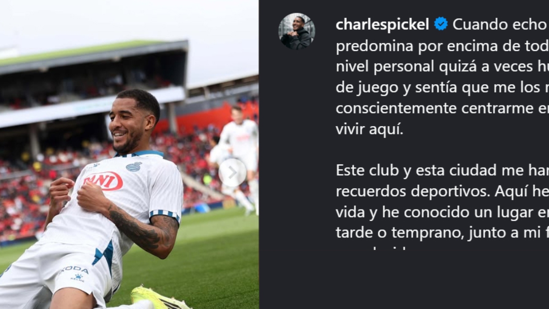 Portada amigable 23 despefdida pickel