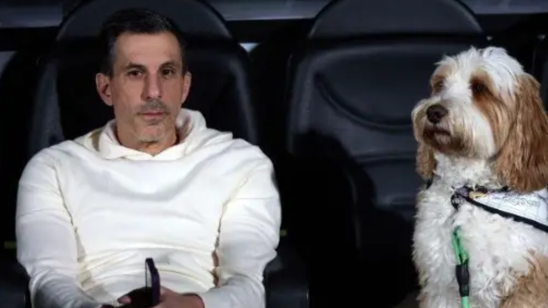 Álex Calatrava apunta al 1 de julio 3 bob voulgaris perro oscar