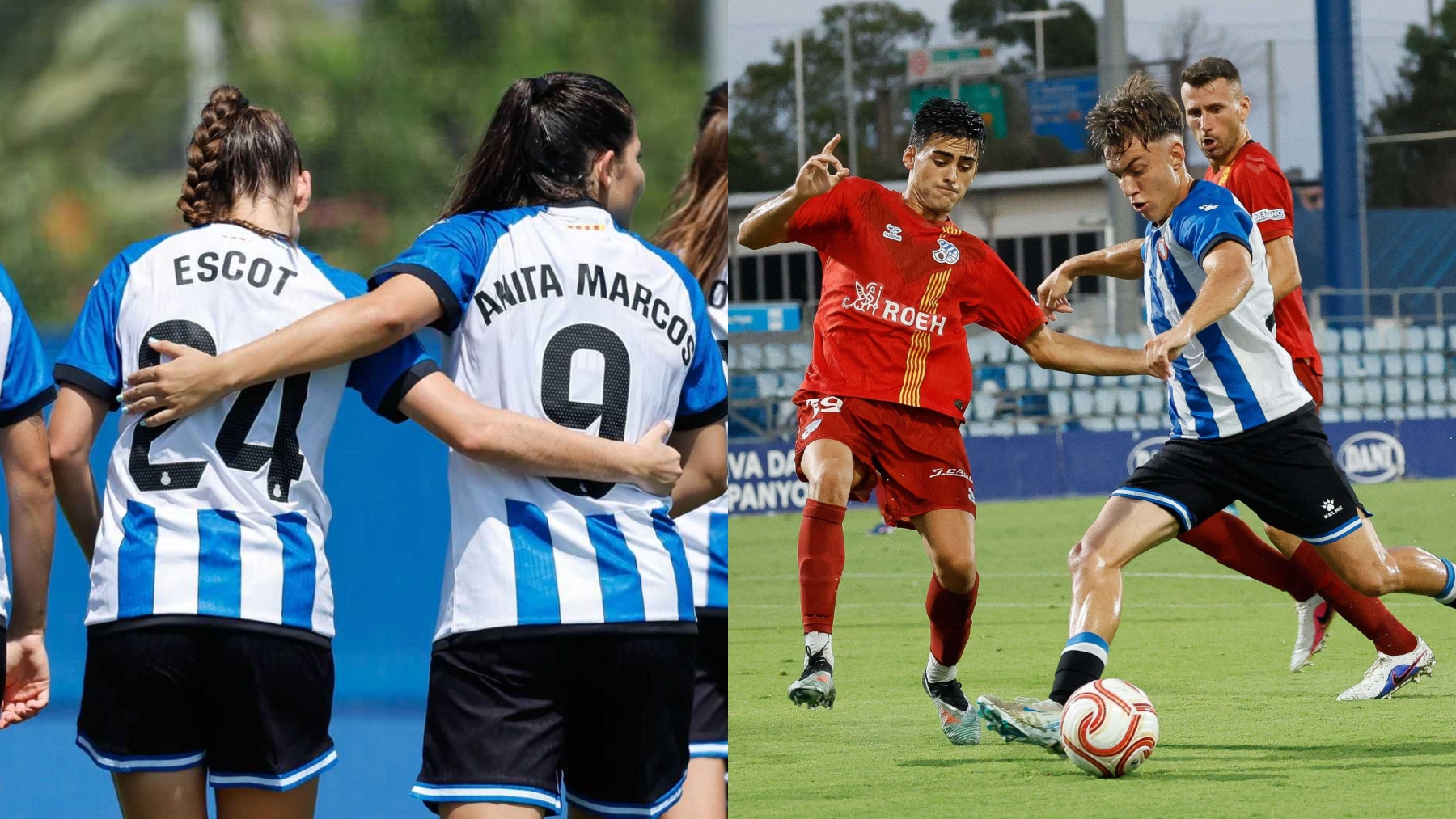 filial femenino recurso